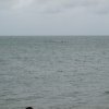 SMB Adventures 2011 - Padre Burgos Outing 2011